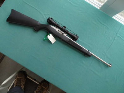 Ruger 10-22 Stainless