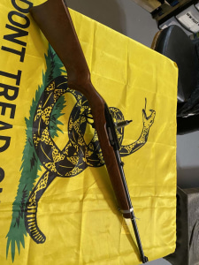 Ruger 10/22 great shape