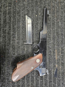 Colt Woodsman Match Target