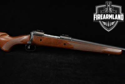 Savage Arms Model 10 243 Win 22" Blued & Hardwood AccuTrigger