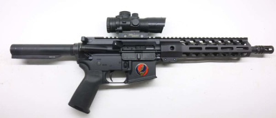 Palmetto PSA PA-15 AR15 AR-15 Pistol 223 5.56 Sig Sauer scope #25120218