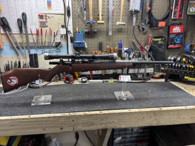 Savage 17 HMR (93r17)