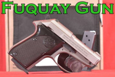 Beretta 3032 Tomcat Inox 32 ACP 2.4" Tip-up